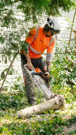 VS Landscape Group on Instagram: "Emergencies can't wait. Contact us for a free quote 🌲🚨 When storms hit or trees become dangerous, our team is ready to respond fast and safely with a tree removal you can count on. #VSTree #EmergencyTreeService #TreeRemoval #OttawaServices #StormDamage VS Tree provides emergency tree removal services when safety is on the line. From storm-damaged trees to fallen or hazardous limbs, our certified arborists are equipped to handle urgent situations quickly and pr