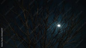 4K Time Lapse Sky footage for different projects and events.