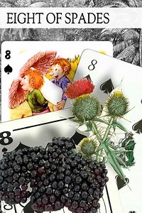 8 of Spades meaning in Cartomancy and Tarot - ⚜️ Cardarium ⚜️