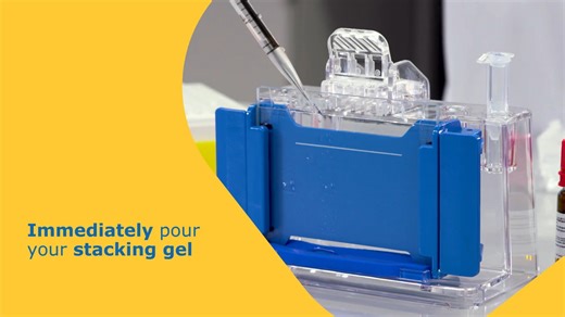 mPAGE® TurboMix Bis-Tris制胶试剂盒：预混缓冲液与丙烯酰胺溶液
