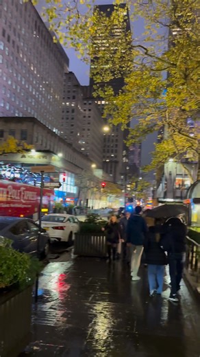 Christmas tree | Waqar Hussain