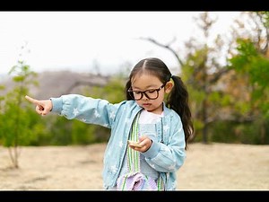 Historical facts - THE MYSTERIOUS ORIGINS OF THE COMPASS