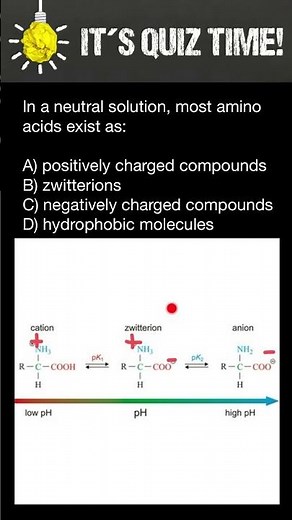 In a neutral solution, most amino acids exist as...