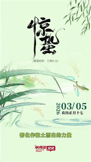 Spring Unveiled: Snow Melts, Plants Sprout, Awakening Nature