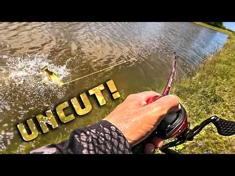 Uncut Bank Fishing At A DIRTY POND For BIG BASS!