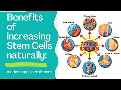 What are Stem Cells and inceasing them naturally! madonnaguy.cerule.com Amazingly regenerative!