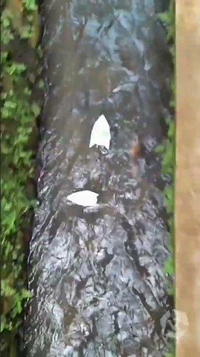 🚤 Paper Boat Race | 🟡 Yellow vs 🟢 Green | Who Wins?