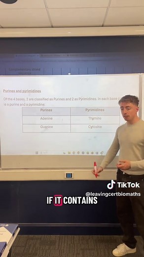 🧬 DNA/RNA: Purines & Pyrimidines 🧬 Leaving Cert Biology reminder: You need to know the two groups of DNA bases: Purines = Adenine and Guanine Pyrimidines = Thymine and Cytosine Tip: If the base contains the letter “y”, it’s a Pyrimidine! #LeavingCert #Biology #LeavingCertBiology #TeachersOfTikTok #fyp