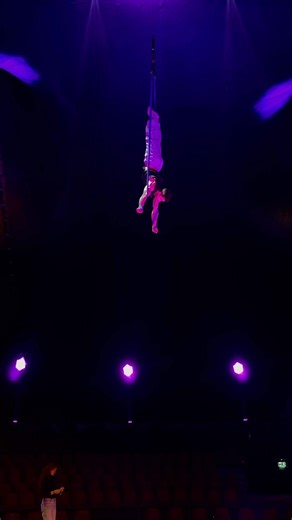 Last training in this circus 🎪 #straps #aerialstraps #aerialist #circus