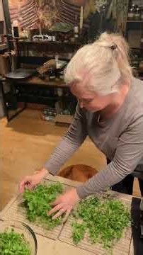 All about #chickweed How to identify it, why is it used as #naturalmedicine how to make an