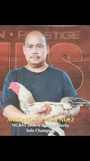 American and Filipino Breeders | Altuz Airwolf II