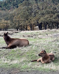 28K views · 592 reactions | Meet Clint, Our Newest Marvel-Inspired...