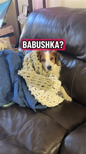 Funny Dog Video: Creative Self-Burial Routine