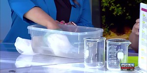 Learn about camouflage with the Science Museum