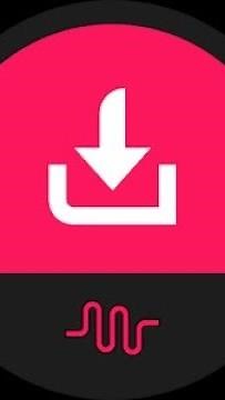 Save TikTok Videos Without Watermark - TikTok Video Download - MusicallyDown