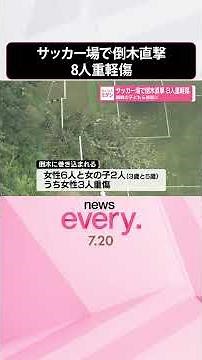 【倒木直撃】観戦中の子どもら被害 サッカー場で8人重軽傷 静岡･御殿場市 #shorts