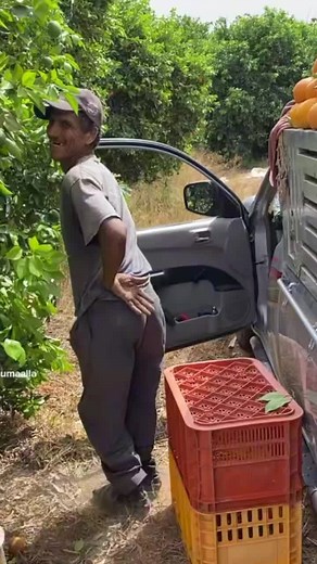 761K views · 10K reactions | النشاط 殺 | Imazighen online إمازيغن أون لاين | Facebook