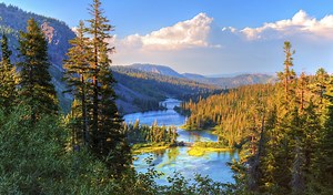 10 Easy Tips To Help Keep The Environment Clean - Sustainable Business Toolkit