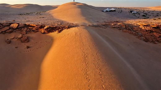 The Sahara landscape covered in rolling sand dunes