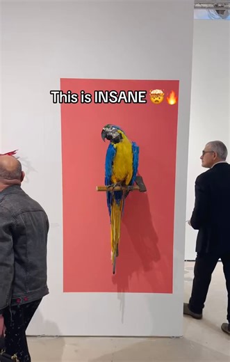 Just came across the incredible work of Thomas Deininger, a Rhode Island based artist who transforms discarded objects into mind-blowing optical illusions and intricate sculptural pieces.What really strikes me is how his art serves as such a powerful commentary on environmental issues and our throwaway consumer culture. He creates these complex, beautiful works entirely from non-recyclable, non-biodegradable waste that he pulls straight from landfills.Definitely worth checking out if you haven’t