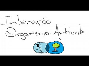 Behaviorismo Radical - Interação Organismo Ambiente