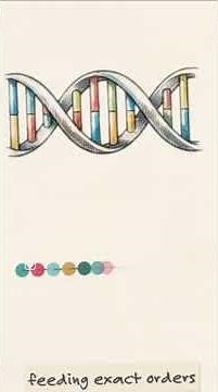 What are Proteins?
