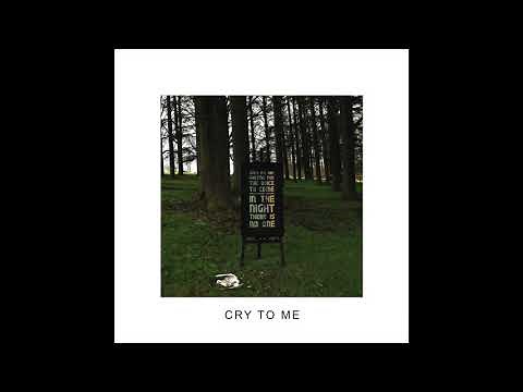IDLES - CRY TO ME Official Audio)