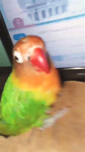 بنك بخمسه جنيه انت البو لو تغسلي بي 1 2 3 4 5 😂😂😂😂😂😂😂😂😂😂😂😂