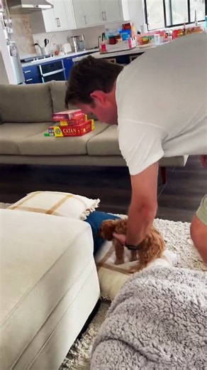 Training for the Puppy Olympics