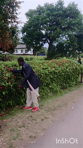 Life Grand (@life.grand3)’s videos with original sound - Life Grand