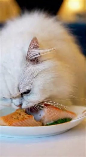 A rich woman left her entire fortune to her cat. Soon the cat had a mansion, bodyguards