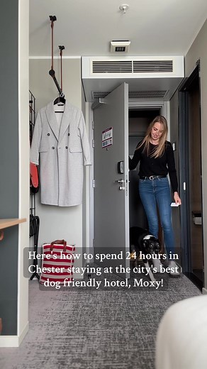 Dog Friendly Destinations on TikTok