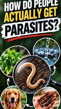 How Do People Actually Get Parasites?