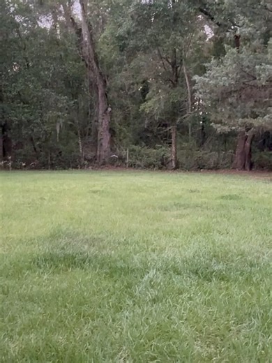 The Blind Poi Spinner having some daytime fun while my beagle. I know you are really here just to watch HIM, and not me. Even though I am new to all of the Flow Arts, you must begin somewhere! And so here I am, just having fun, while my sweet beagle is nearby. I am using Flow Toys' Pod Poi v.2. They are wonderful! They don't hurt very much. And what is neat about these is that when you change the color on one, the other one automatically syncs to it, so they both have the same color! Very conven