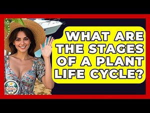 What Are The Stages Of A Plant Life Cycle? - The Family Getaway Guide
