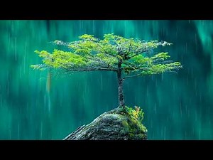 Rain Background No Copyright Video | Rain Copyright Free Videos | Free Stock Videos | Free Footage