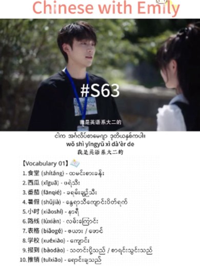 Learn Basic Chinese Phrases (S63) — Chinese with Emily