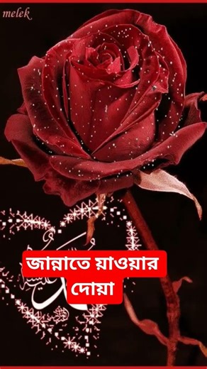 জান্নাতে যাওয়ার শ্রেষ্ঠ দোয়া #viral#viralvideo #dua #jannat