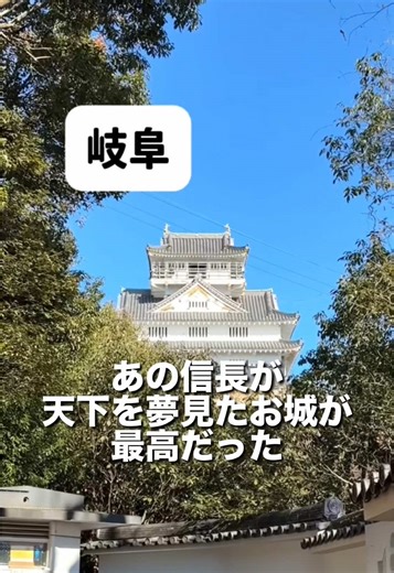岐阜 あの信長が天下を夢見たお城が最高だった 岐阜県にある「岐阜城」へ行ってきました。 かつて織田信長公が「天下布武」を掲げた拠点として知られるこの場所。 濃尾平野を流れる長良川を眺めていると、当時の武将たちも同じ景色を見て何を想ったのだろう…と、つい時間を忘れて話し込んでしまいました。 お城までは少し階段がありますが、ワクワクの方が止まらないですよ。 歴史好きの方も、絶景に癒やされたい方も、ぜひ一度足を運んでみてください。 📍 岐阜県岐阜市天主閣18番地 ロープウェー運賃 往復 1300円 片道 800円 岐阜城入場料 200円 #岐阜城 #岐阜観光 #絶景スポット #50代夫婦
