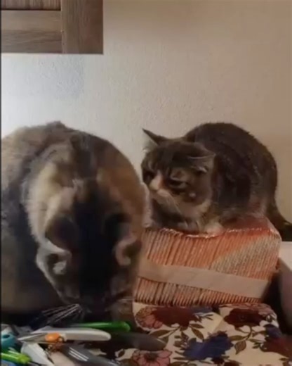 30K views · 363 reactions | KLR Productions on Reels | Facebook