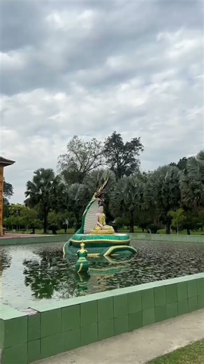 Assamese Poem Recitation #shortvideo #shorts #poetry #ytshorts