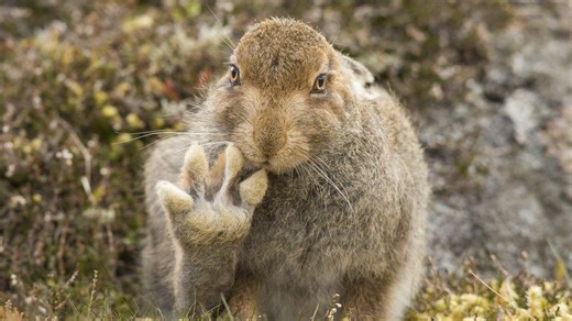 Welcome to Wacky Wednesday