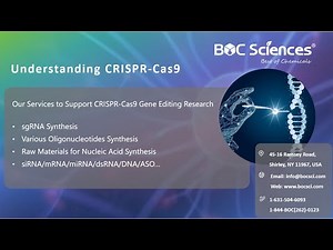 Understanding CRISPR-Cas9 - CRISPR Explained - What is CRISPR? - BOC Sciences