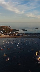 124K views · 2.4K reactions | Happy St Piran's Day!!  Isn't Cornwall ace? ❤️ | BBC Cornwall | Facebook