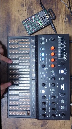 Jam with MicroFreak and Pocket Operator