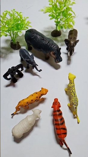 Wild Animals Toys Collection Setup 🐘🐅 Mini Jungle Safari!