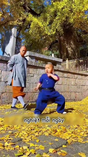 Võ sư 6 tuổi dạy ngàn người? #shorts #VoThuat #ThieuLamTu