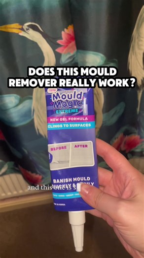 Mould Magic: The Ultimate Mould Removal Hack