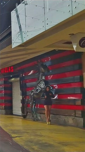 Zona Norte Tijuana: Touristing in La Coahuila Street