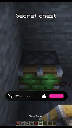 Hide Your Loot Like a Pro! (Secret Chest)